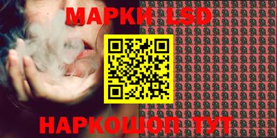 spice Сланцы