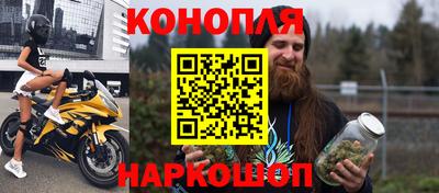 прущие грибы Славгород
